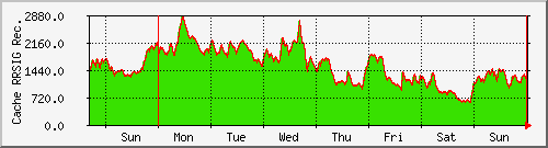 week week