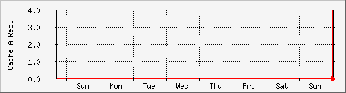 week week